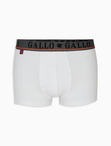 Boxer Gallo